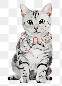 Cat png sticker, American shorthair with collar, transparent background