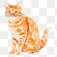 Tabby cat png sticker, watercolor illustration, transparent background