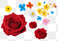 Colorful flowers  png collage element, transparent background