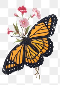 Floral Monarch png butterfly sticker, aesthetic insect illustration on transparent background