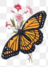 Floral Monarch png butterfly sticker, aesthetic insect illustration on transparent background