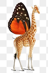 Butterfly winged giraffe png sticker, surreal art on transparent background