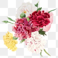 Pink flower bouquet png sticker, feminine botanical illustration on transparent background