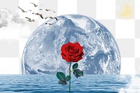 Fantasy ocean rose png, transparent background, nature aesthetic surreal collage