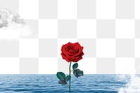 Fantasy ocean rose png, transparent background, nature aesthetic surreal collage