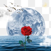 Fantasy ocean rose png, transparent background, nature aesthetic surreal collage