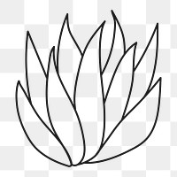 Plant png, doodle aloe vera clipart, transparent background