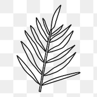 Fern leaf png, doodle collage element, transparent background