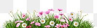 Spring flower border png sticker, transparent background