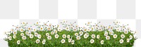 Spring flower border png sticker, transparent background