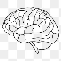 Digital brain png sticker, neuroscience, transparent background