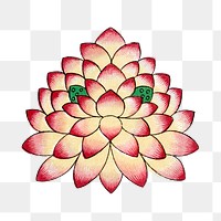 Lotus flower png sticker, Chinese aesthetic vintage illustration, transparent background