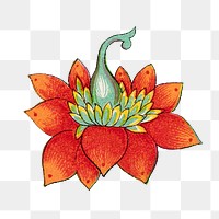 Orange flower png sticker, Chinese aesthetic vintage illustration, transparent background