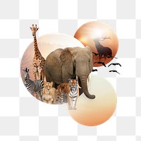 Wildlife extinction png, global warming impact collage element, transparent background