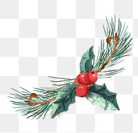 Festive holly leaf transparent png