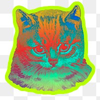 Staring cat sticker transparent png