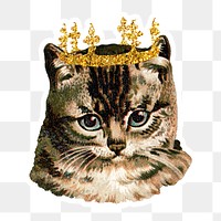 Cat with glittery crown sticker transparent png