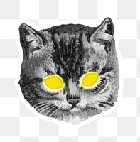 Cat with yellow laser eyes sticker transparent png