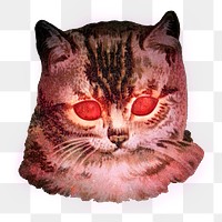 Cat with red laser eyes sticker  transparent png