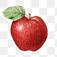 Red apple sketch design element 