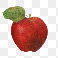 Red apple illustration sketch style sticker 