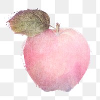 Pink apple watercolor illustration design element 