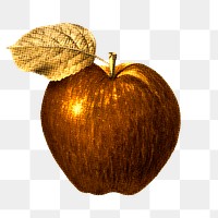 Golden apple illustration sketch style