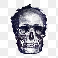 Vintage skull engraving style overlay