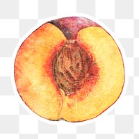 Hand drawn peach acrylic style sticker overlay with a white border