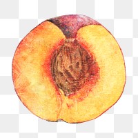 Hand drawn peach acrylic style sticker overlay