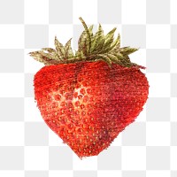  Hand drawn strawberry brush stroke style design element