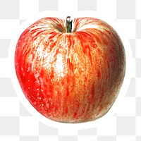 Hand drawn red apple sticker design element