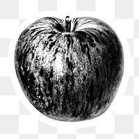 Hand drawn monotone apple sticker design element