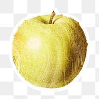 Hand drawn green apple sticker design element