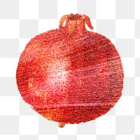 Hand drawn red pomegranate fruit design element