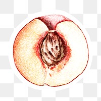 Hand colored half of peach fruit sticker with white border