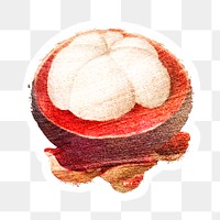 Hand drawn mangosteen fruit sticker with white border