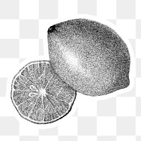 Hand drawn monotone lemon fruit sticker with a white border