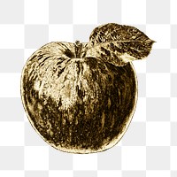 Gold apple fruit sticker design element