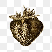 Gold strawberry sticker design element