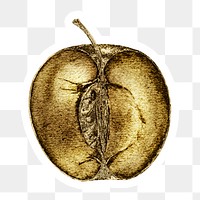 Gold apple cut in a half sticker with a white border
