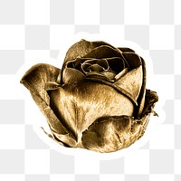 Gold rose flower sticker with a white border