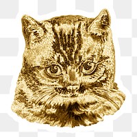 Gold cat sticker with a white border