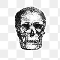 Crystallized skull sticker overlay with a white border