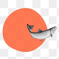 PNG grayscale trout fish on orange circle remixed media