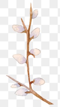 Png Easter pussy willow design element watercolor illustration