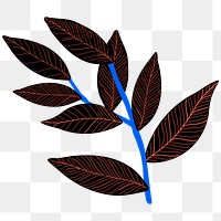 Leaf png sticker tropical illustration