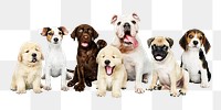 Puppies png sticker, animal collage element on transparent background