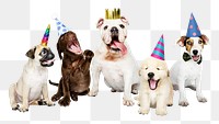 Party puppies png sticker, animal collage element on transparent background