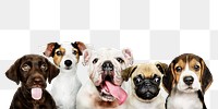 Cute png puppies sticker, animal collage element on transparent background